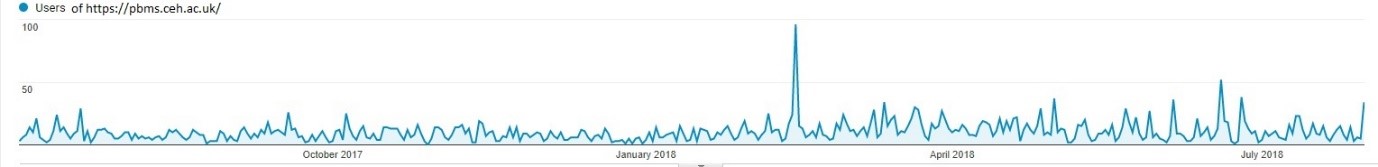 Numbers of website visitors graph