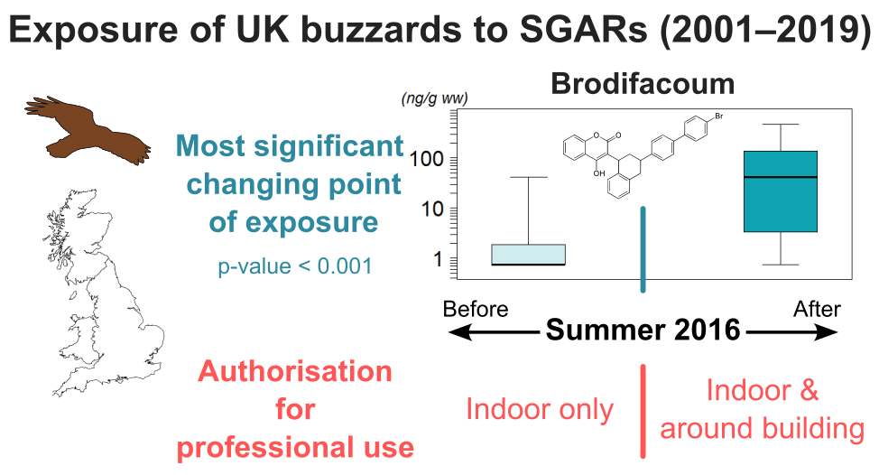 Graphical abstract of the paper