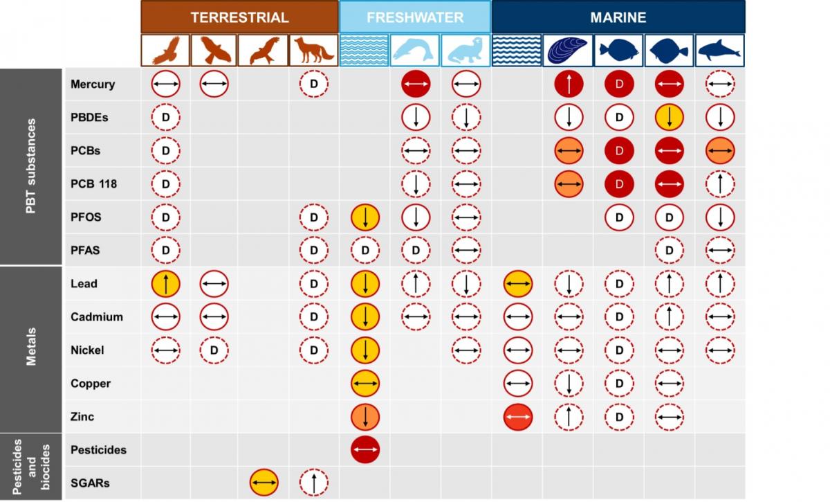 Interim H4 indicator table