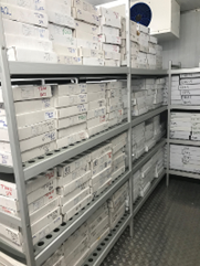 Samples stored in our walk-in freezer