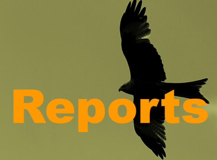 Reports