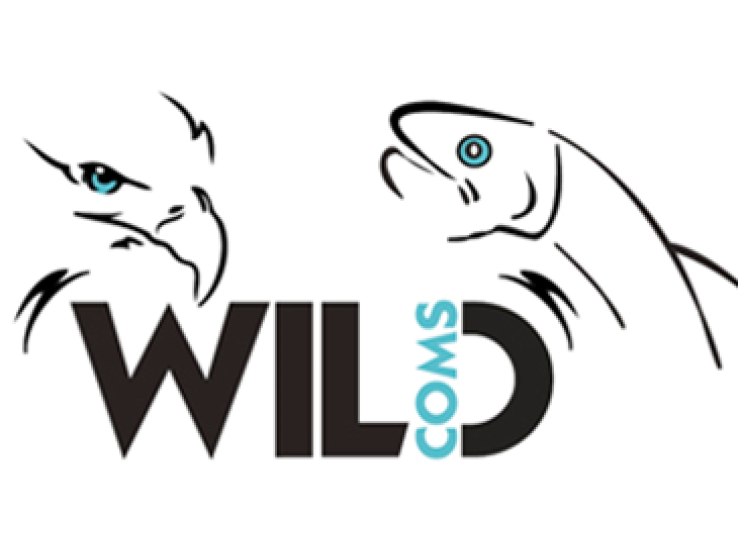 WILDCOMS logo_SquareVersion
